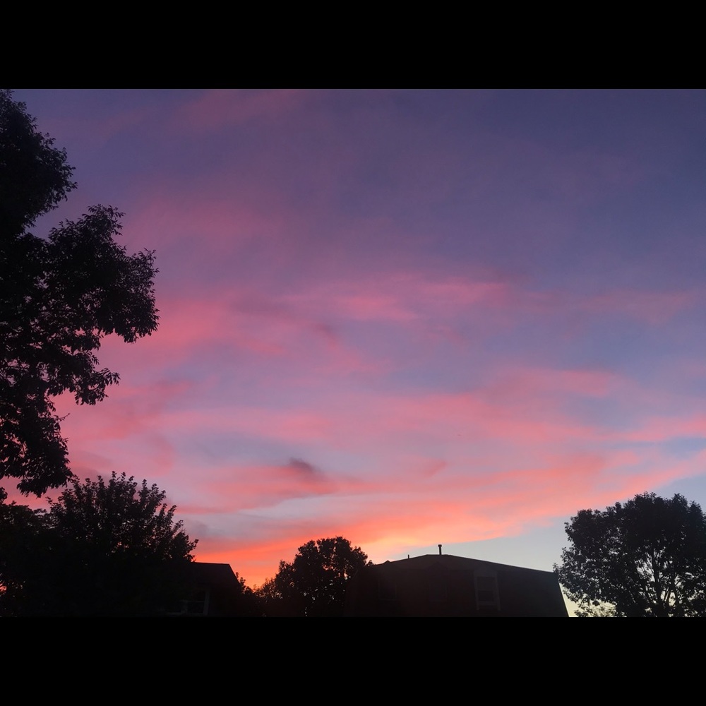 Meet your Posher, Shayla